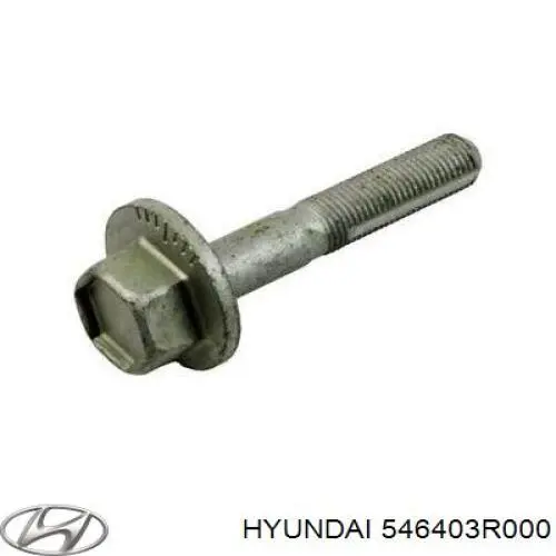 546403R000 Hyundai/Kia parafuso de fixação de braço oscilante de inclinação traseiro, interno