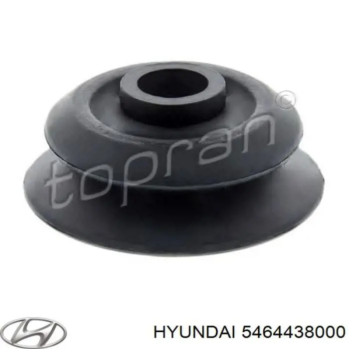 5464438000 Hyundai/Kia