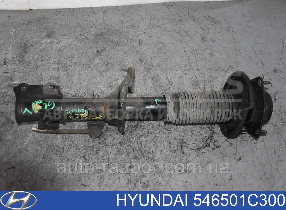 Купить 546501C300 Hyundai/Kia Амортизатор подвески передний левый