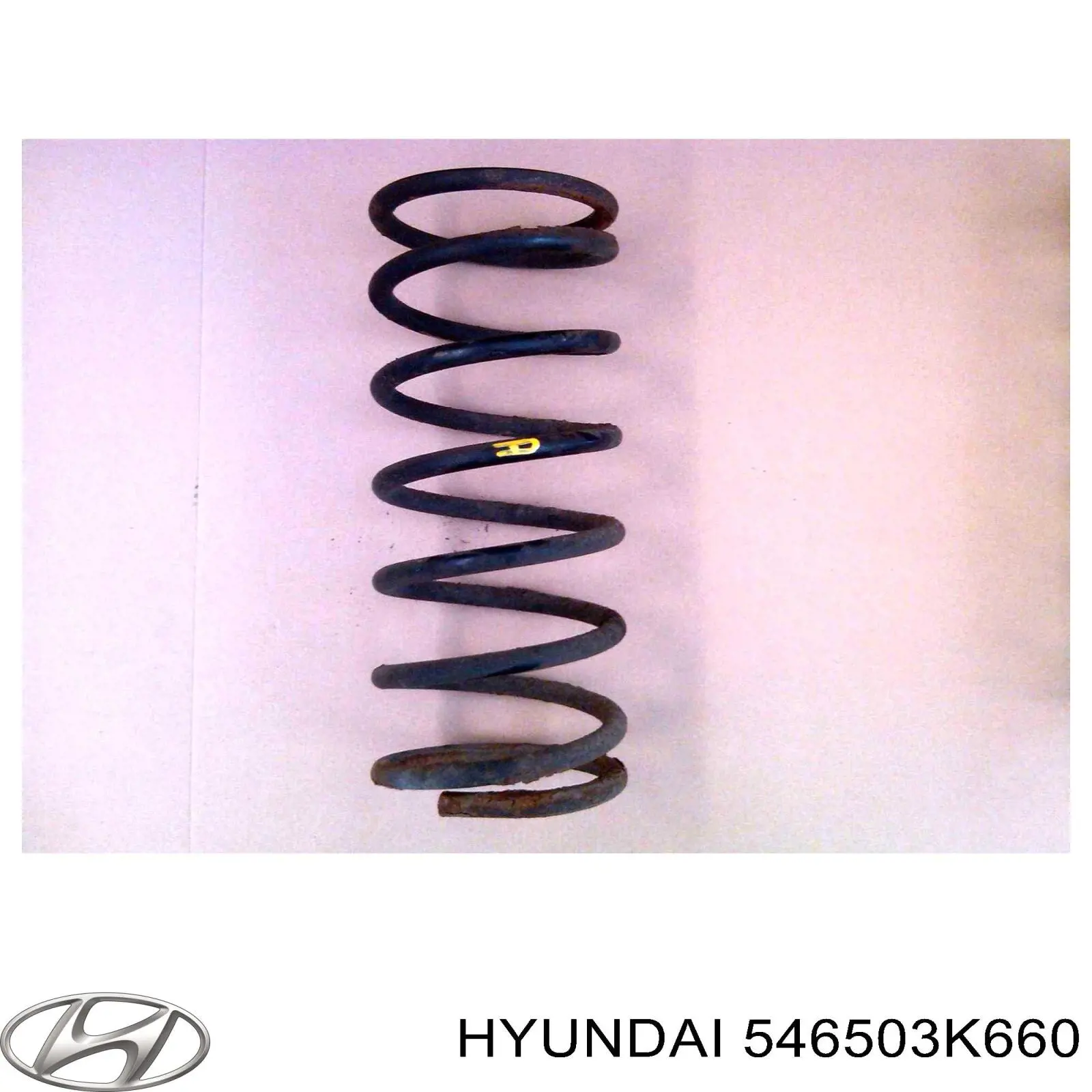 Передняя пружина 546503K660 Hyundai/Kia