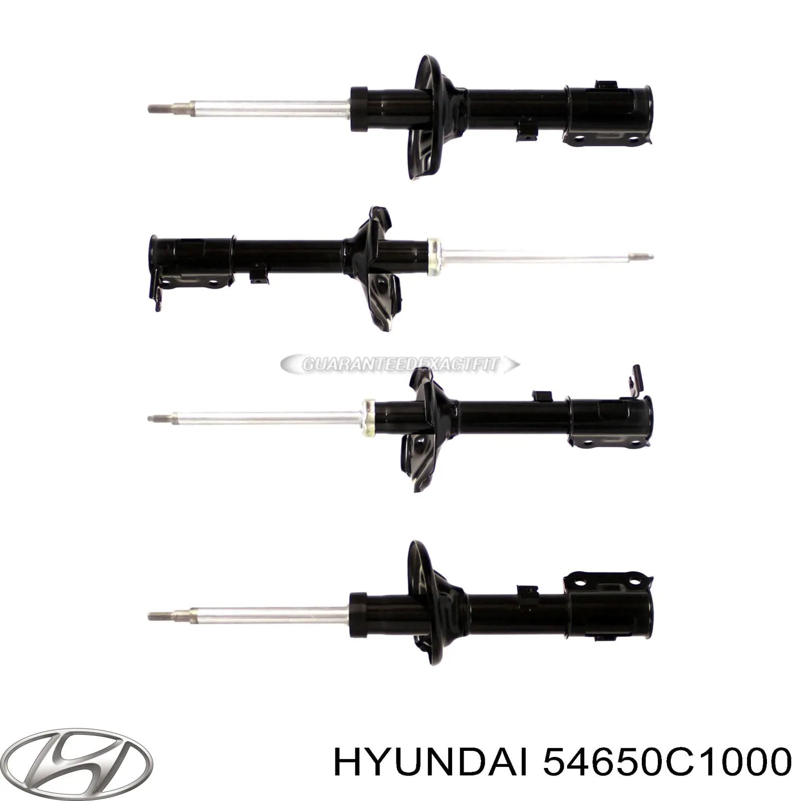 RS546501 Raiso Амортизатор передний левый
