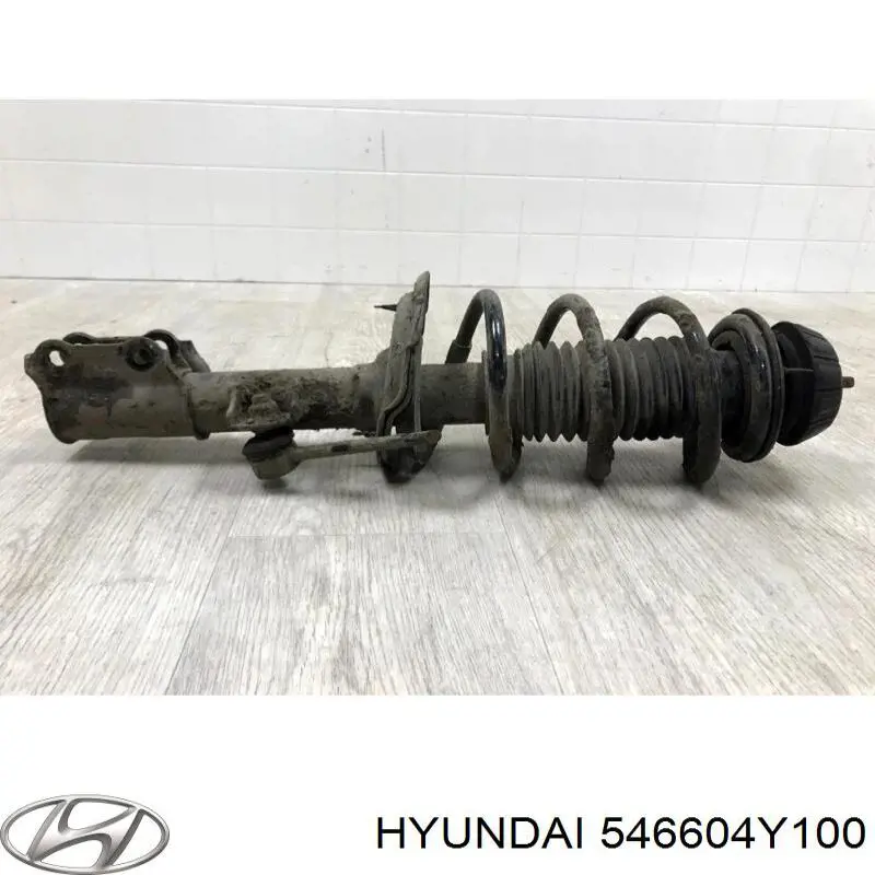 546604Y100 Hyundai/Kia Амортизатор передней подвески правый