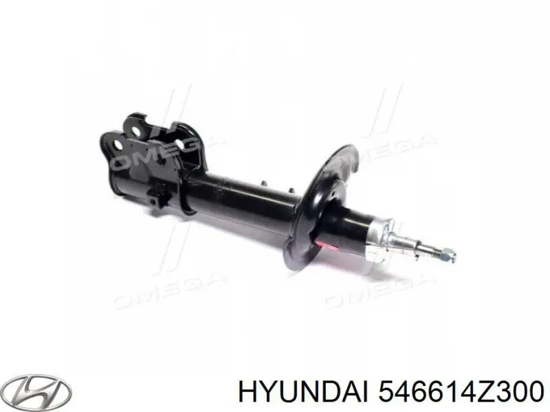  546614Z300 Hyundai/Kia