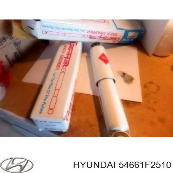 54661F2510 Hyundai/Kia Амортизатор передней подвески правый