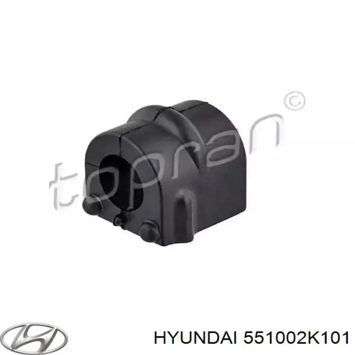 551002K101 Hyundai/Kia Подрамник задней подвески