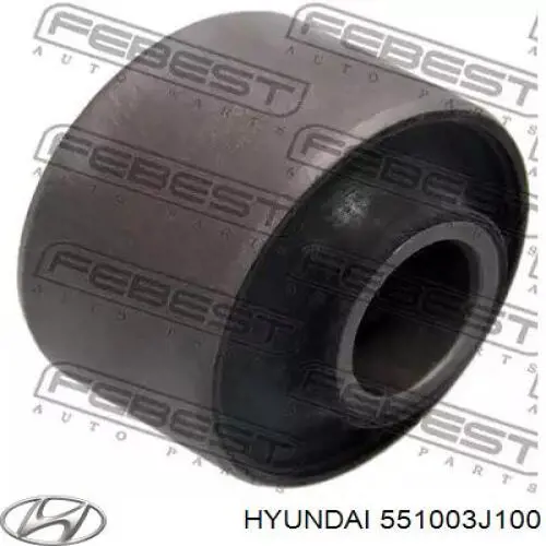 Рычаг (тяга) задней подвески продольный нижний левый/правый Hyundai/Kia 551003J000 цена, от 89.45 USD