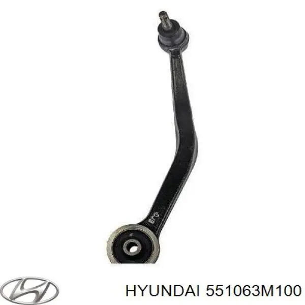 Рычаг задней подвески поперечный правый Hyundai/Kia 551063M100 цена, от 38.09 USD