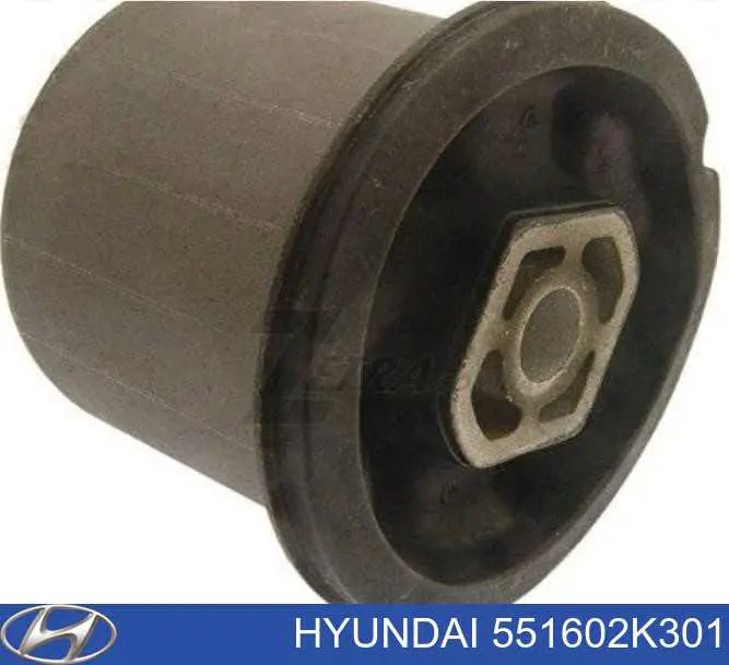 551602K301 Hyundai/Kia bloco silencioso de viga traseira (de plataforma veicular)