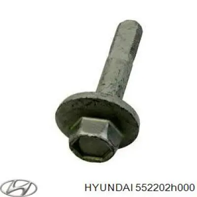 Болт крепления заднего развального рычага, внутренний Hyundai/Kia 552202H000
