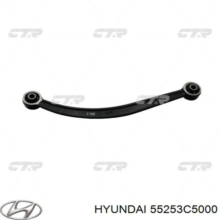 Bloco silencioso traseiro de braço oscilante transversal para Hyundai Santa Fe (TM, TMA)