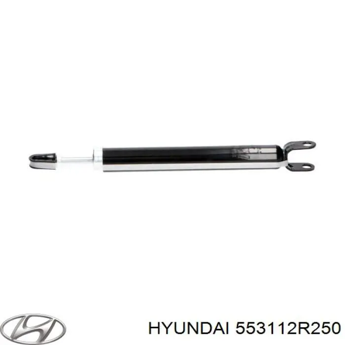 Задний амортизатор Hyundai/Kia 553112R250