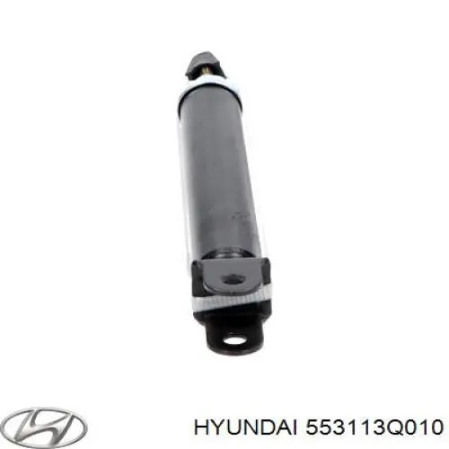  553113Q010 Hyundai/Kia