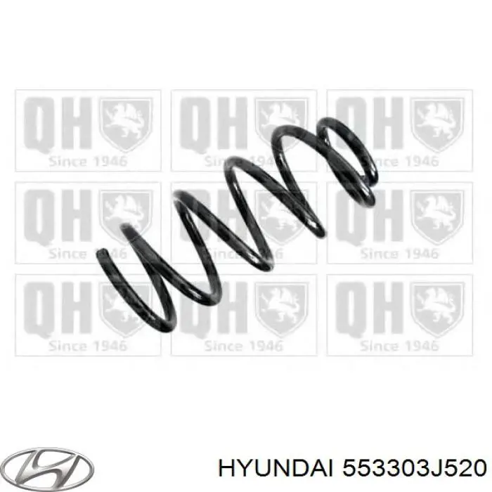 Задняя пружина 85929 GKN-Spidan