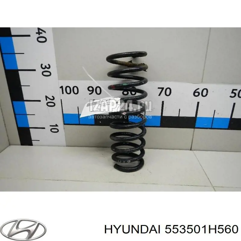 553501H560 Hyundai/Kia пружина задняя