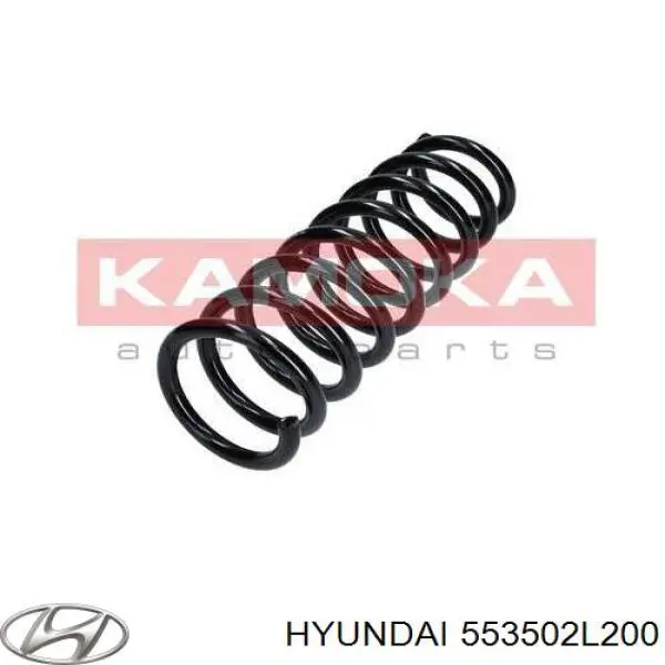 553502L200 Hyundai/Kia mola traseira