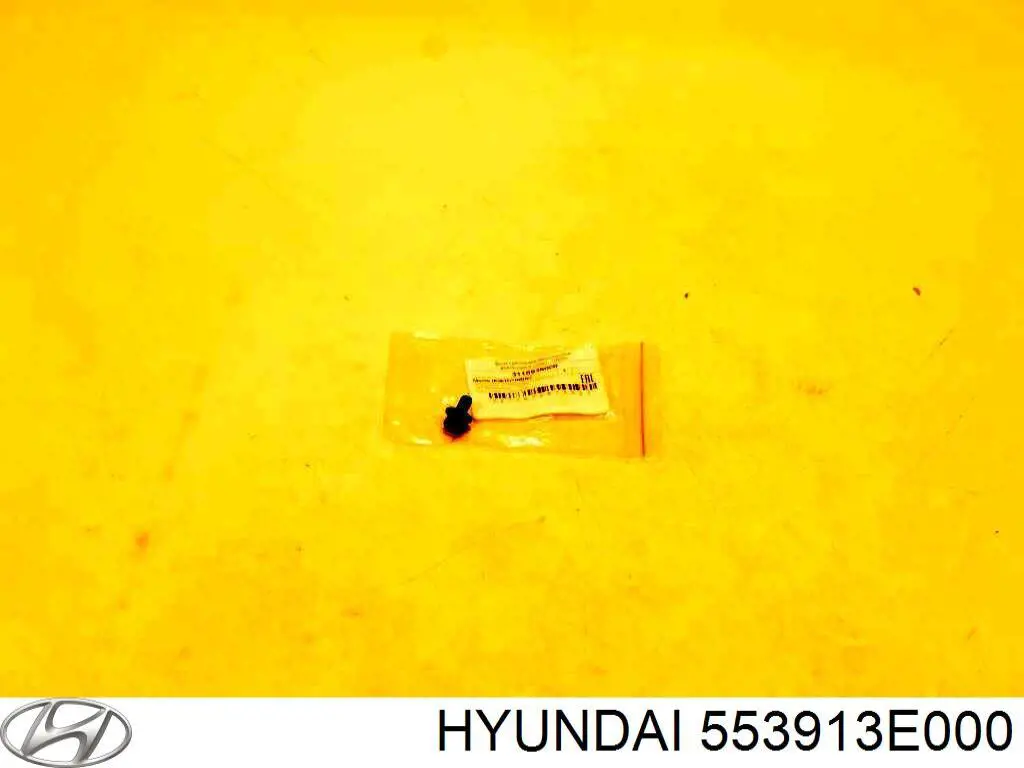 553913E000 Hyundai/Kia 