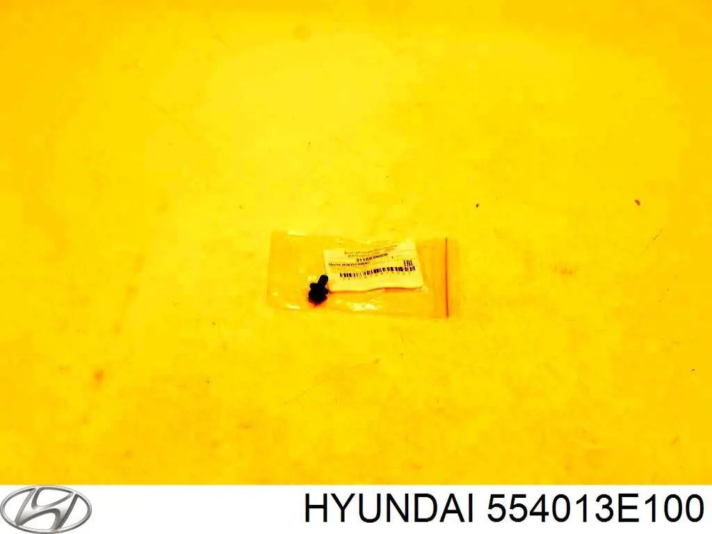 554013E100 Hyundai/Kia 