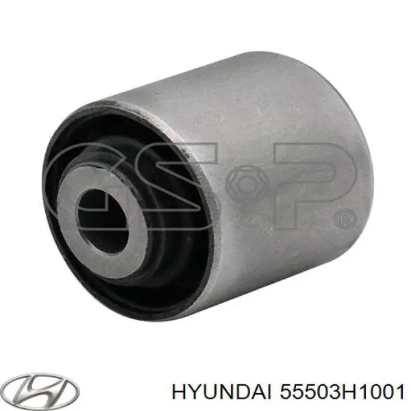 55503H1001 Hyundai/Kia 