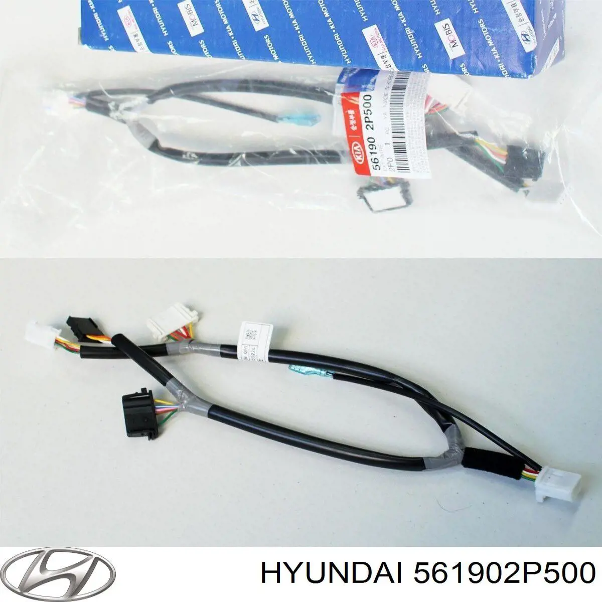 561902P500 Hyundai/Kia 