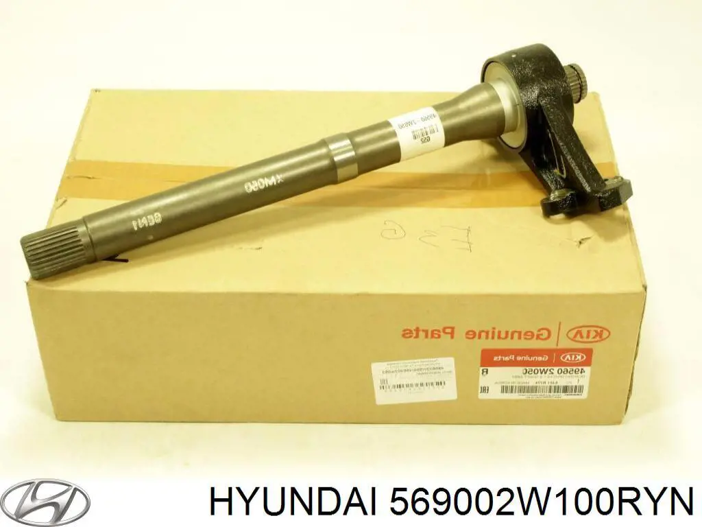 569002W100RYN Hyundai/Kia cinto de segurança (airbag de condutor)