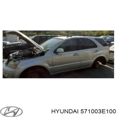 Насос гидравлики Hyundai/Kia 571003E100 цена, от 62.15 USD