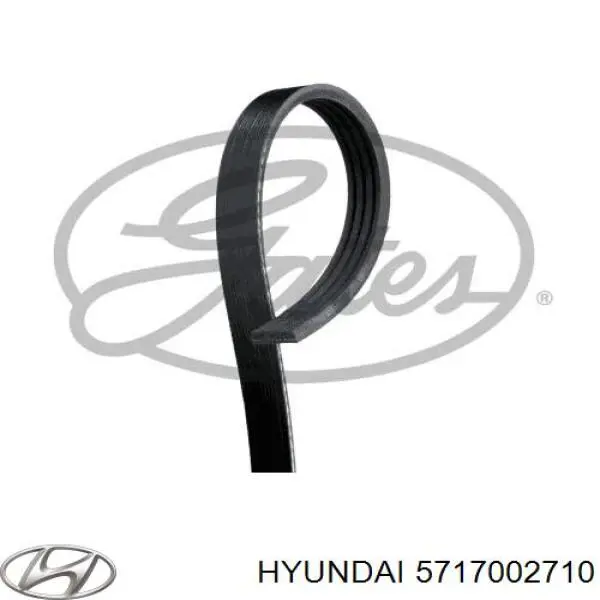 5717002710 Hyundai/Kia correia dos conjuntos de transmissão