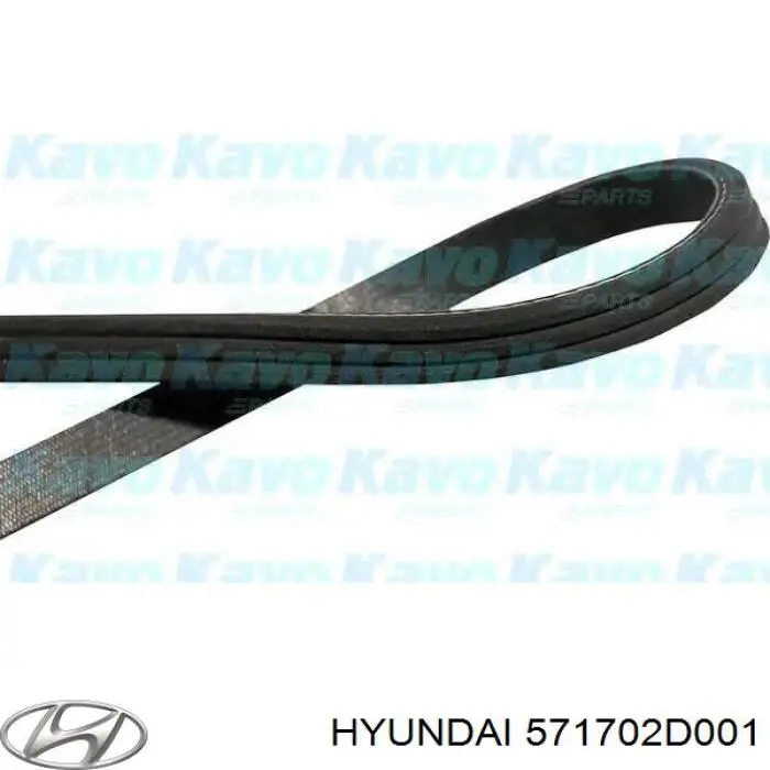 Клиновый ремень Hyundai/Kia 571702D001 цена, от 4.83 USD