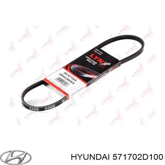 Correa trapezoidal 571702D100 Hyundai/Kia