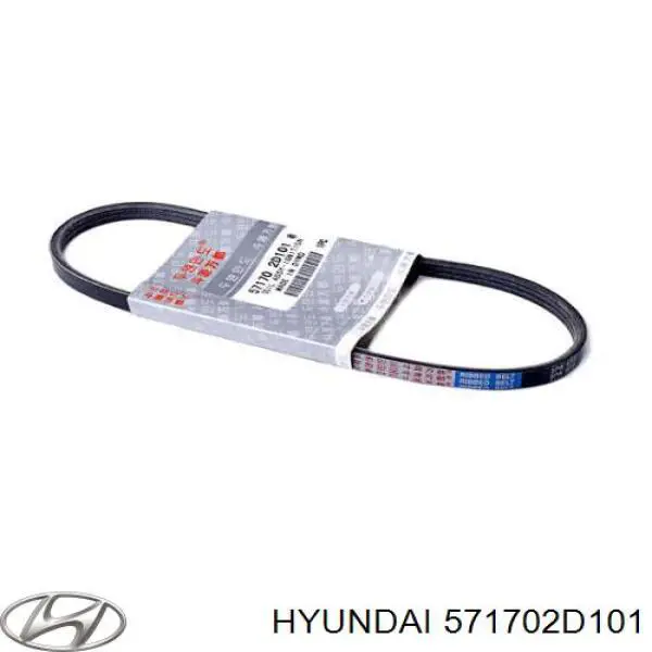 571702D101 Hyundai/Kia ремень генератора