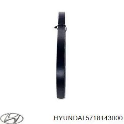 Ремень кондиционера Hyundai/Kia 5718143000