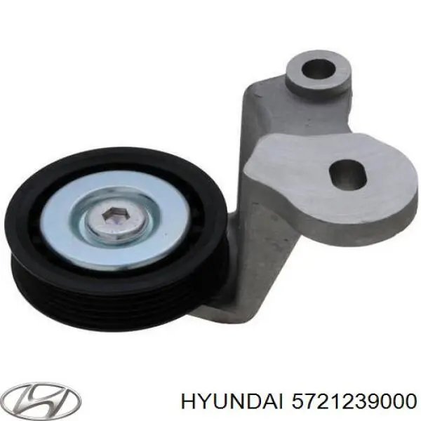  5721239000 Hyundai/Kia