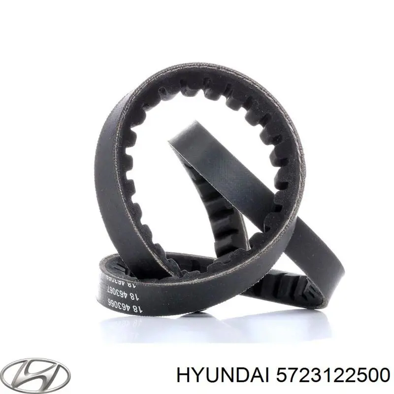 Ремень кондиционера Hyundai/Kia 5723122500