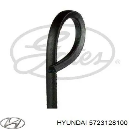 5723128100 Hyundai/Kia ремень генератора