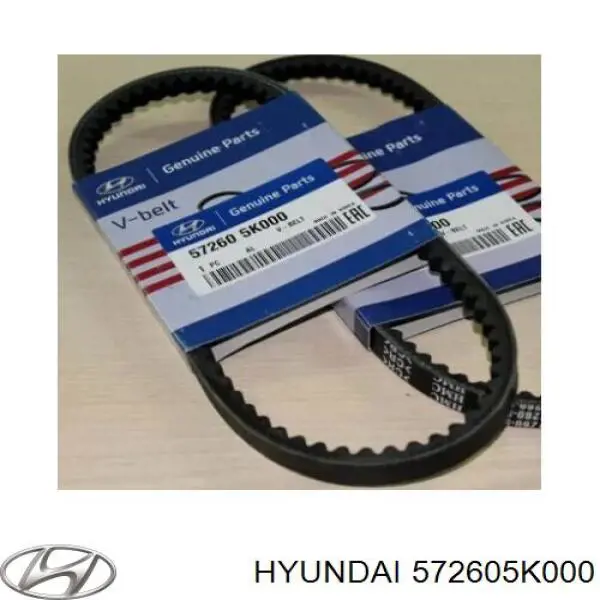  572605K000 Hyundai/Kia