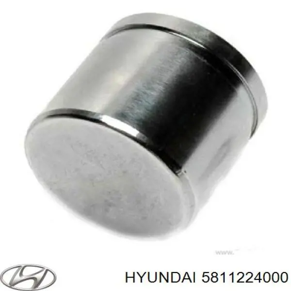 Émbolo, pinza del freno delantera 5811224000 Hyundai/Kia