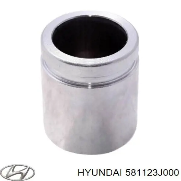  581123J000 Hyundai/Kia