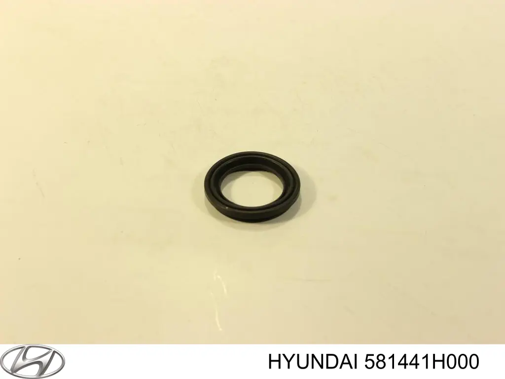 Комплект пружинок крепления дисковых колодок передних Hyundai/Kia 581441H000
