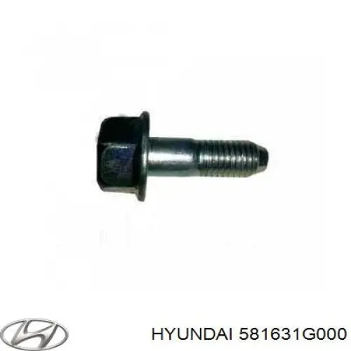 Ремкомплект переднего суппорта 581631G000 Hyundai/Kia