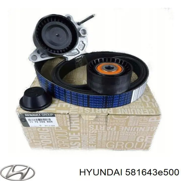 Пыльник направляющей суппорта тормозного переднего HYUNDAI 581643E500
