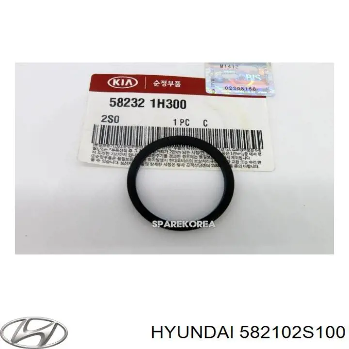 Суппорт задний левый 582102S100 Hyundai/Kia