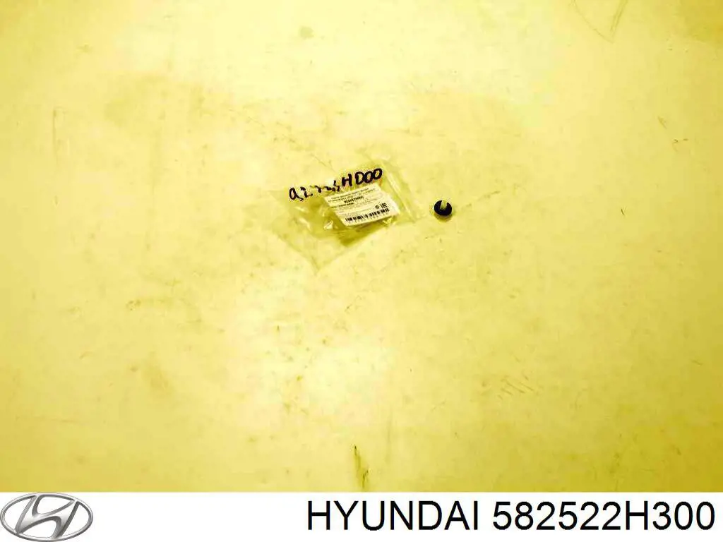 582522H300 Hyundai/Kia 