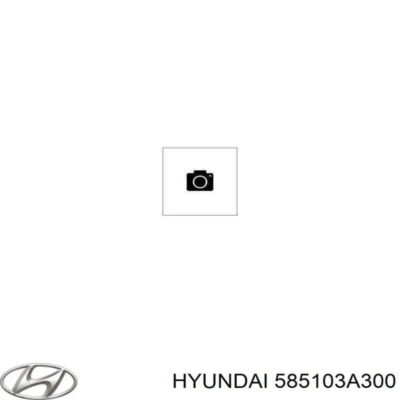 Цилиндр главный тормоза (гидротормозов) Hyundai/Kia 585103A300 цена, от  USD