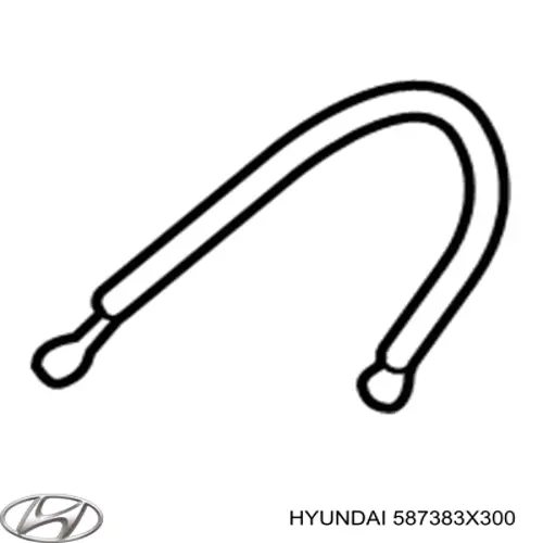 Шланг тормозной задний правый Hyundai/Kia 587383X300