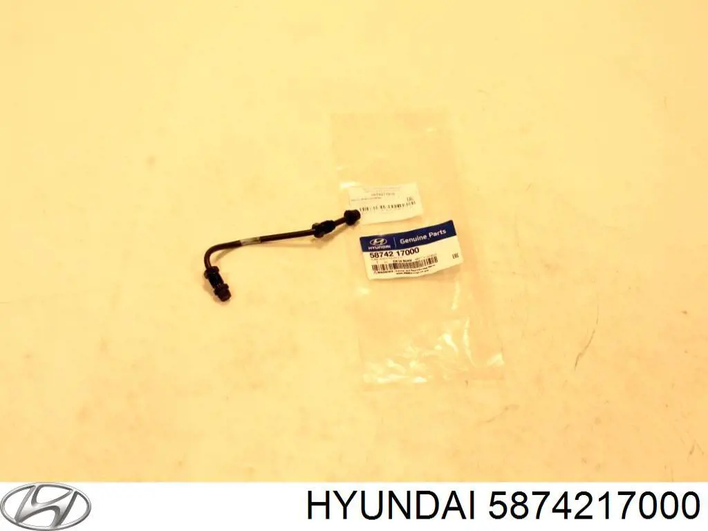  5874217000 Hyundai/Kia