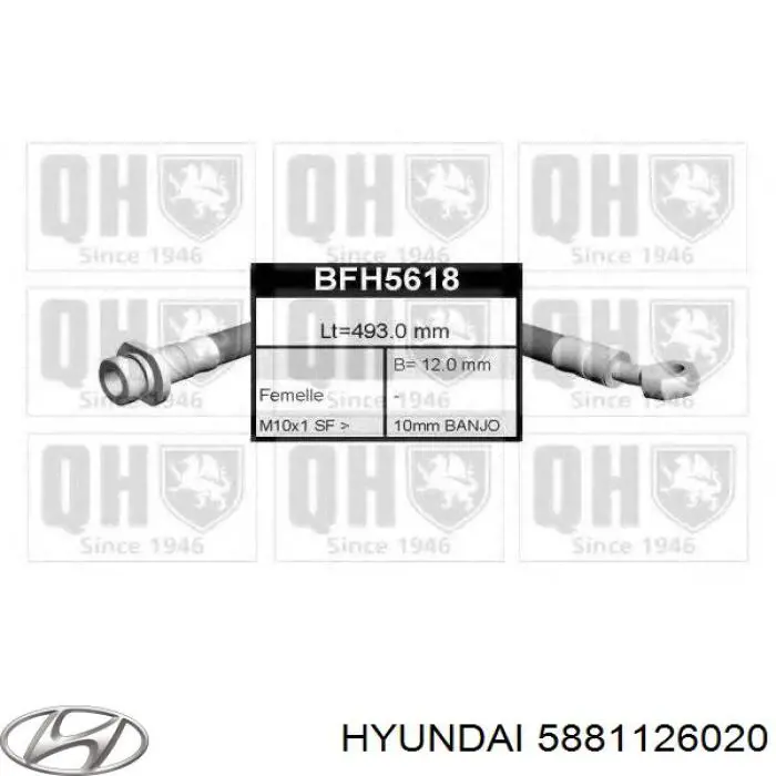 Купить 5881126020 Hyundai/Kia Шланг тормозной передний, правый