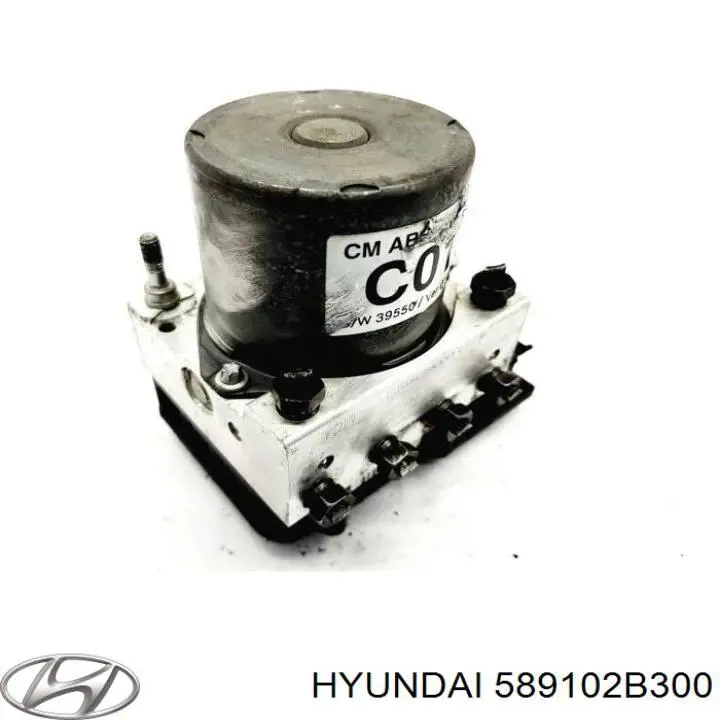 589102B300 Hyundai/Kia 