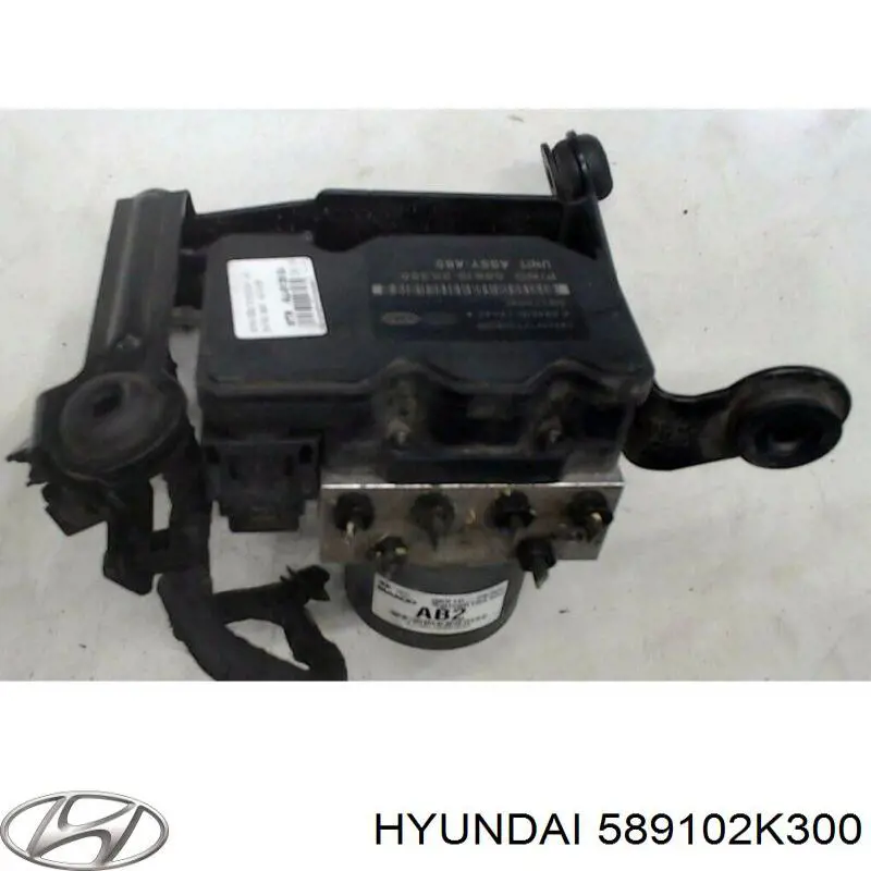 589102K300 Hyundai/Kia 