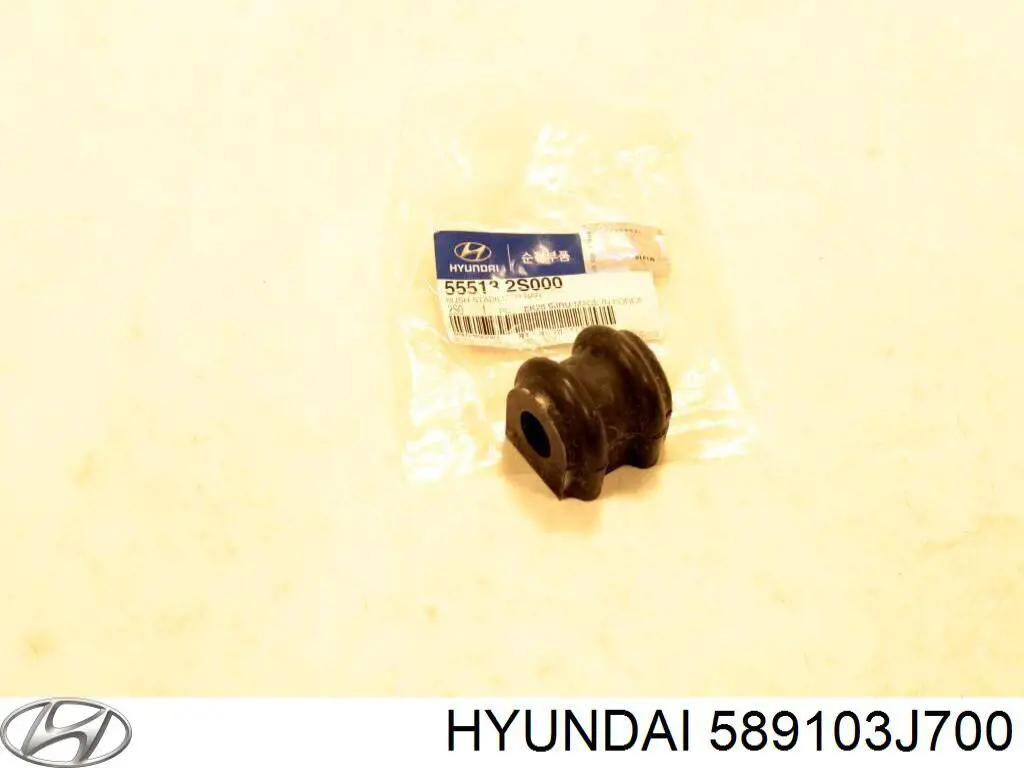 589103J700 Hyundai/Kia 