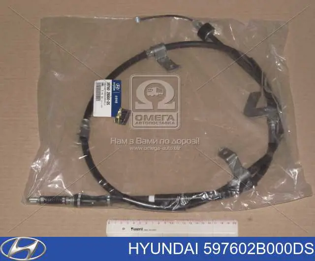 597602B000DS Hyundai/Kia 