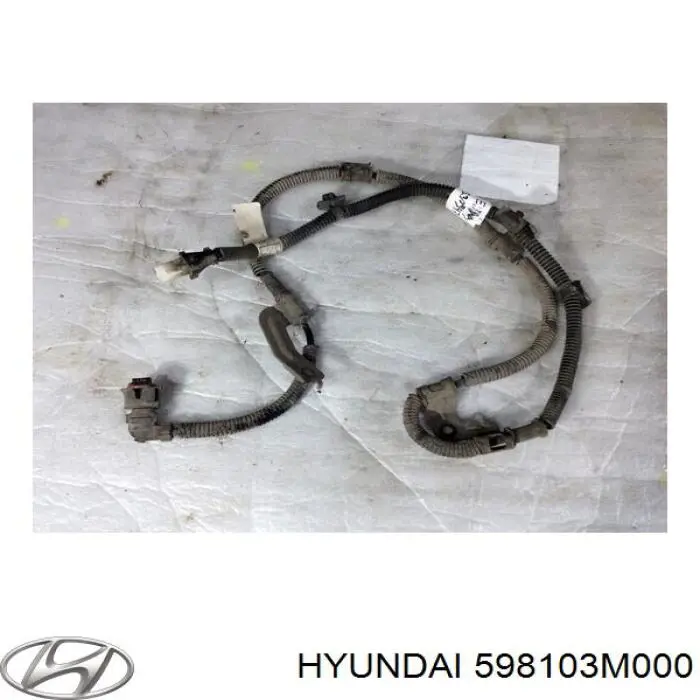 Датчик АБС (ABS) передний левый 598103M000 Hyundai/Kia